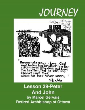 Cover of the book Journey Lesson 39 Peter And John by Zvi Aviner