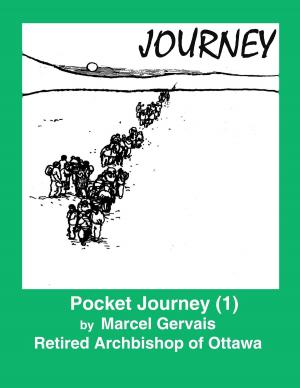 Cover of the book Pocket Journey (1) by Mark McEntire