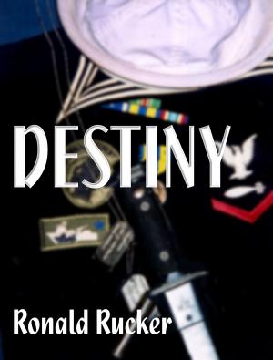 Cover of the book Destiny by Bloodwitch Luz Oscuria