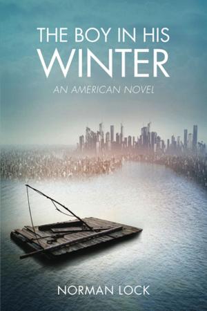 Cover of the book The Boy in His Winter by Austin Ratner