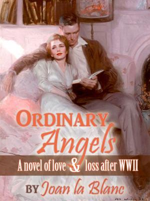 Book cover of ORDINARY ANGELS