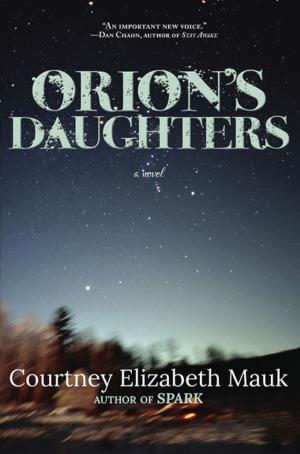 Cover of Orion's Daughters
