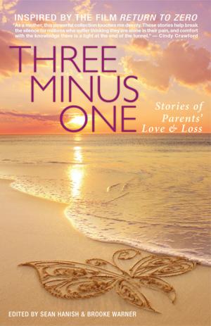 Cover of the book Three Minus One by Jessica Anya Blau