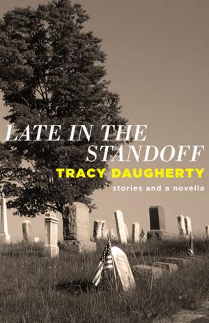 Cover of the book Late in the Standoff by Andi Winter