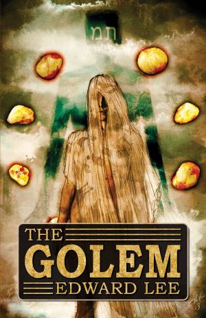 Cover of the book The Golem by David G. Barnett