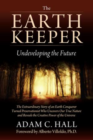 Cover of the book Earthkeeper by Ann Vanino