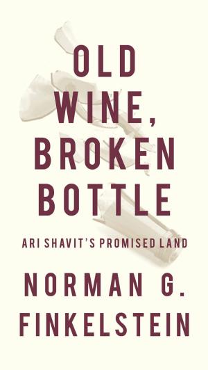 Book cover of Old Wine, Broken Bottle