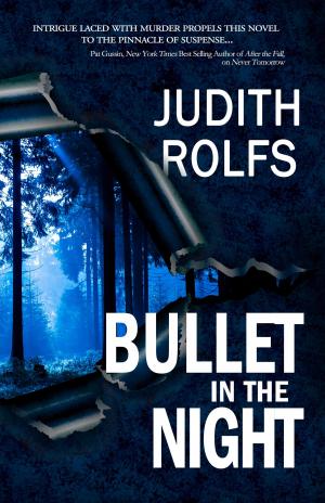 Cover of the book Bullet in the Night by Valerie Massey Goree
