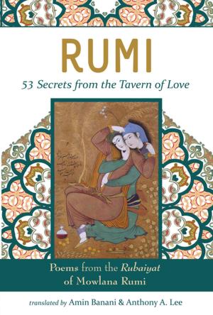 Cover of the book RUMI - 53 Secrets from the Tavern of Love by Ellae Ellinwood, Mary Lanier