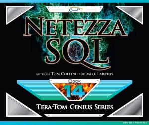 Cover of the book Netezza SQL by Jacquelyn Lynn