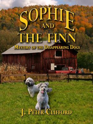 Book cover of Sophie and The Finn: Mystery of the Disappearing Dogs