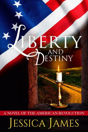Cover of the book Liberty and Destiny by Evelyn Dreiling