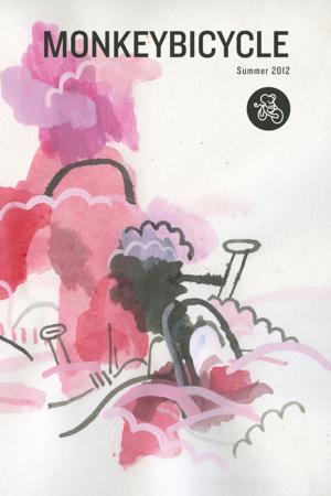 bigCover of the book Monkeybicycle Issue 9 by 