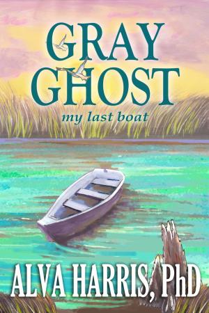 Cover of the book Gray Ghost by JudiLynn Taylor