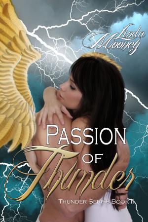 Book cover of Passion of Thunder