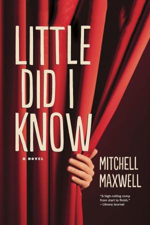 Cover of the book Little Did I Know by Laurel Dewey