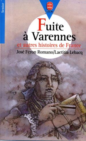 Cover of the book Fuite à Varennes by Annie Jay, Christophe Durual