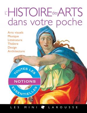 Cover of the book L'histoire des arts dans votre poche by Camille Finateu
