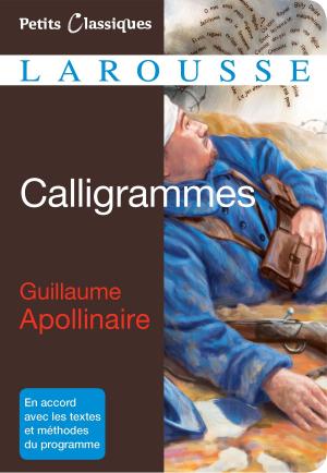 Cover of the book Calligrammes by Renaud Thomazo