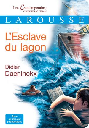 Cover of the book L'esclave du lagon by Elisabeth de Lambilly