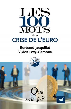 Cover of the book Les 100 mots de la crise de l'euro by François-Charles Mougel, Séverine Pacteau
