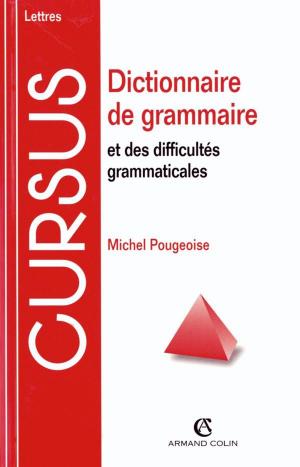 Cover of the book Dictionnaire de grammaire et des difficultés grammaticales by Valérie Schafer, Bernard Tuy