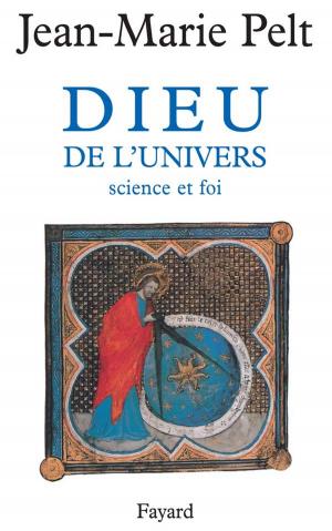 Cover of the book Dieu de l'Univers by Bertrand Dicale