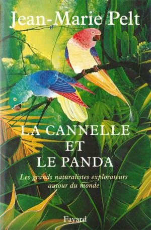 Cover of the book La canelle et le panda by Brigitte Aubert