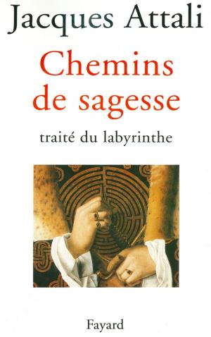 Book cover of Chemins de sagesse