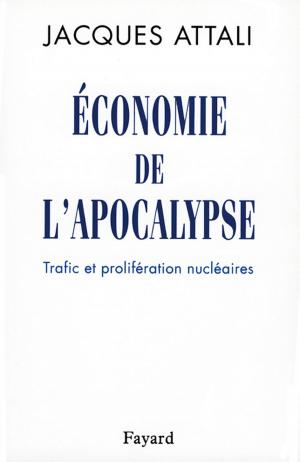 Cover of the book Economie de l'apocalypse by Anne Secret