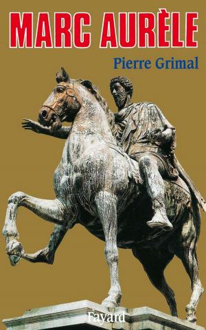 Cover of the book Marc Aurèle by Claire Castillon