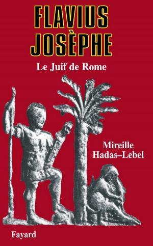 Cover of the book Flavius Josèphe by François de Closets