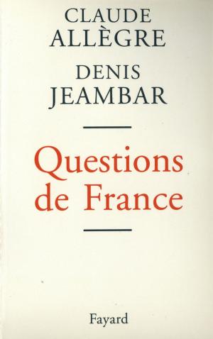 Cover of the book Questions de France by Michel Del Castillo