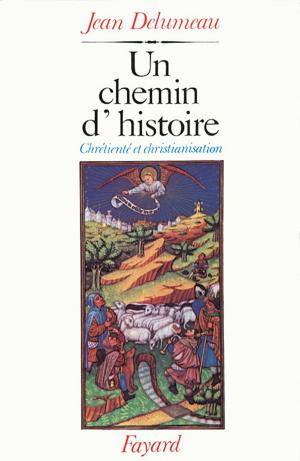 Cover of the book Un chemin d'histoire by Robert Badinter, Antoine Lyon-Caen