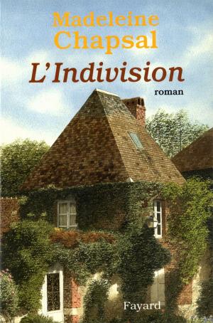 Cover of the book L'indivision by François de Closets