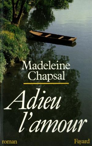 Cover of the book Adieu l'amour by Madeleine Chapsal