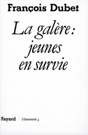 Cover of the book La Galère : Jeunes en survie by Pierre Birnbaum