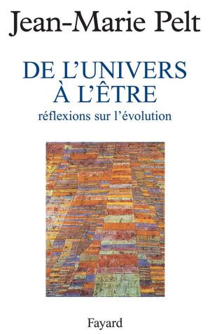 Cover of the book De l'Univers à l'être by Jean-Robert Pitte