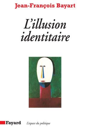 Cover of the book L'Illusion identitaire by Bernard Stiegler
