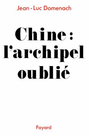 Cover of the book Chine : L'archipel oublié by Renaud Camus