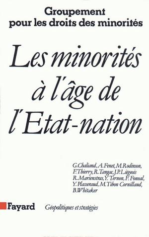 Cover of the book Les Minorités à l'âge de l'Etat-nation by Jocelyne George