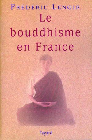 Cover of the book Le bouddhisme en France by Claire Castillon