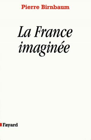 Cover of the book La France imaginée by Pierre Péan