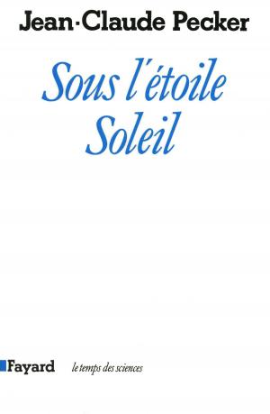 Cover of the book Sous l'étoile soleil by David Bensoussan