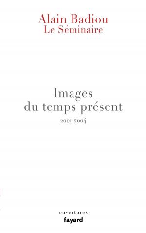 Cover of the book Le Séminaire - Images du temps présent by Anne-Sophie Brasme