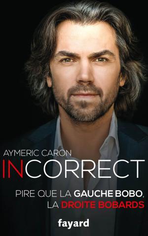 Cover of the book Incorrect by Didier Eribon