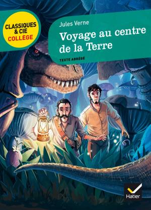 Cover of the book Voyage au centre de la Terre by Benoît Garnot