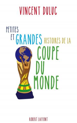 Cover of the book Petites et grandes histoires de la Coupe du monde by Claire FAVAN