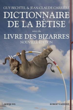 Cover of the book Dictionnaire de la bêtise by C.J. DAUGHERTY