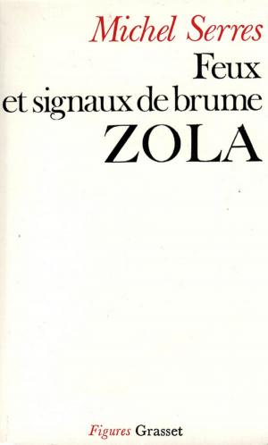 Cover of the book Feux et signaux de brume - Zola by Jacques Chessex